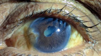 Helen Roberts, TLMTI